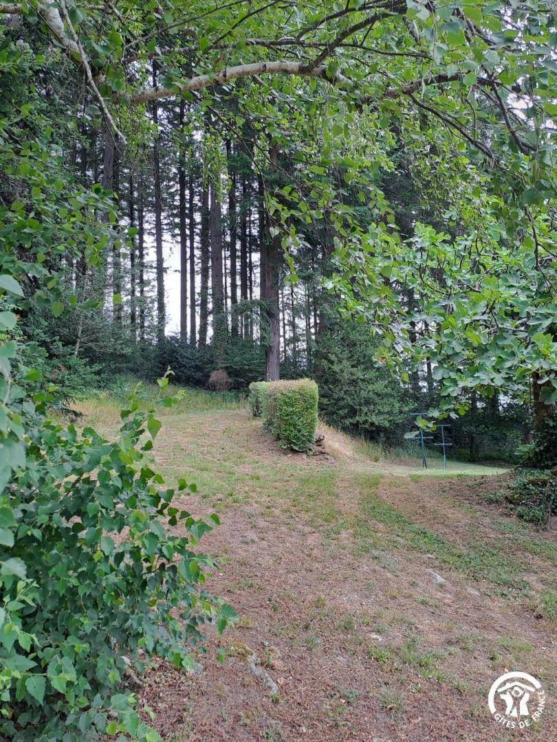 foto39