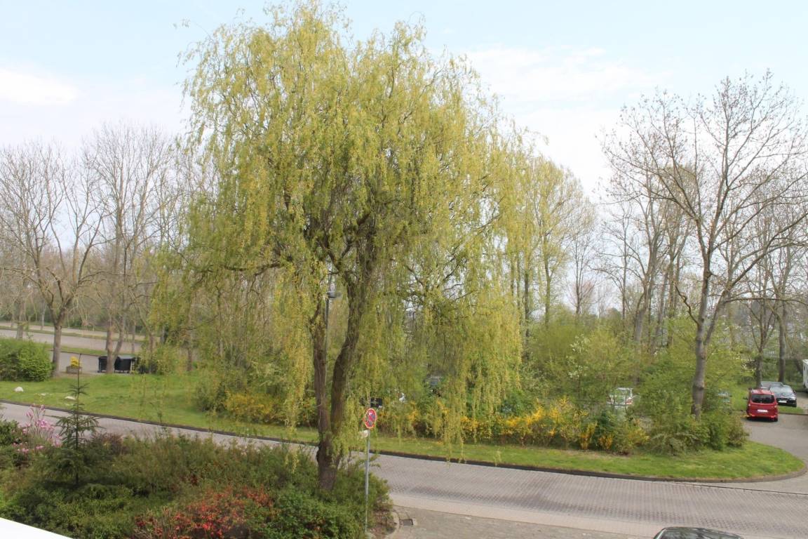 foto10