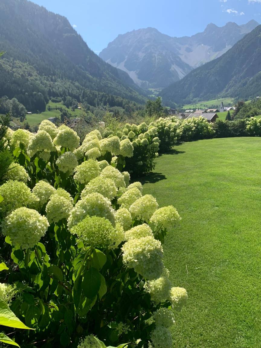 foto19