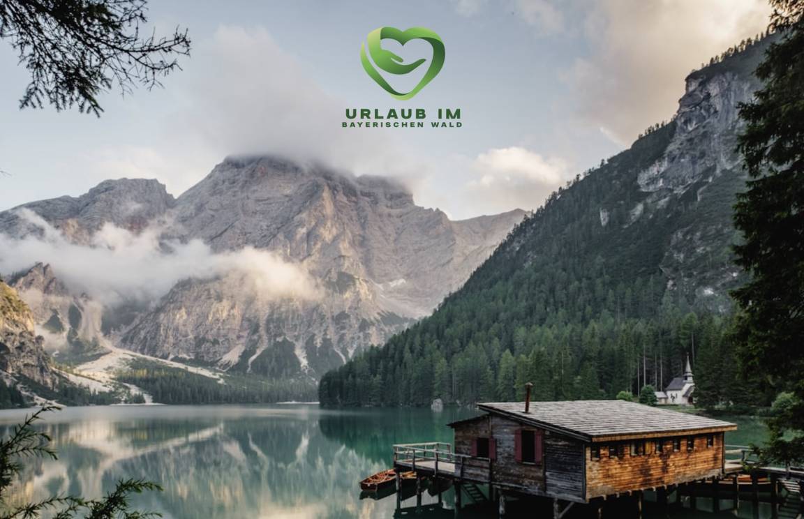 Apartment ∙ 1 Bedroom ∙ 3 Guests - Sankt Englmar