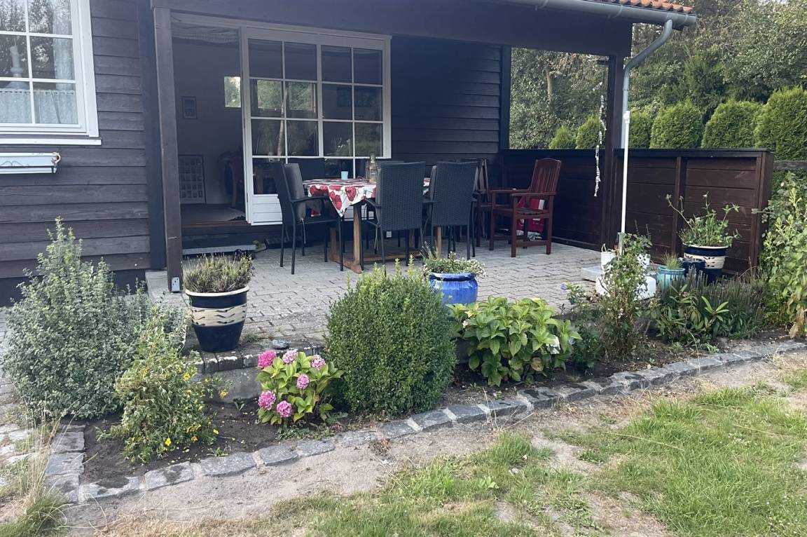 foto26