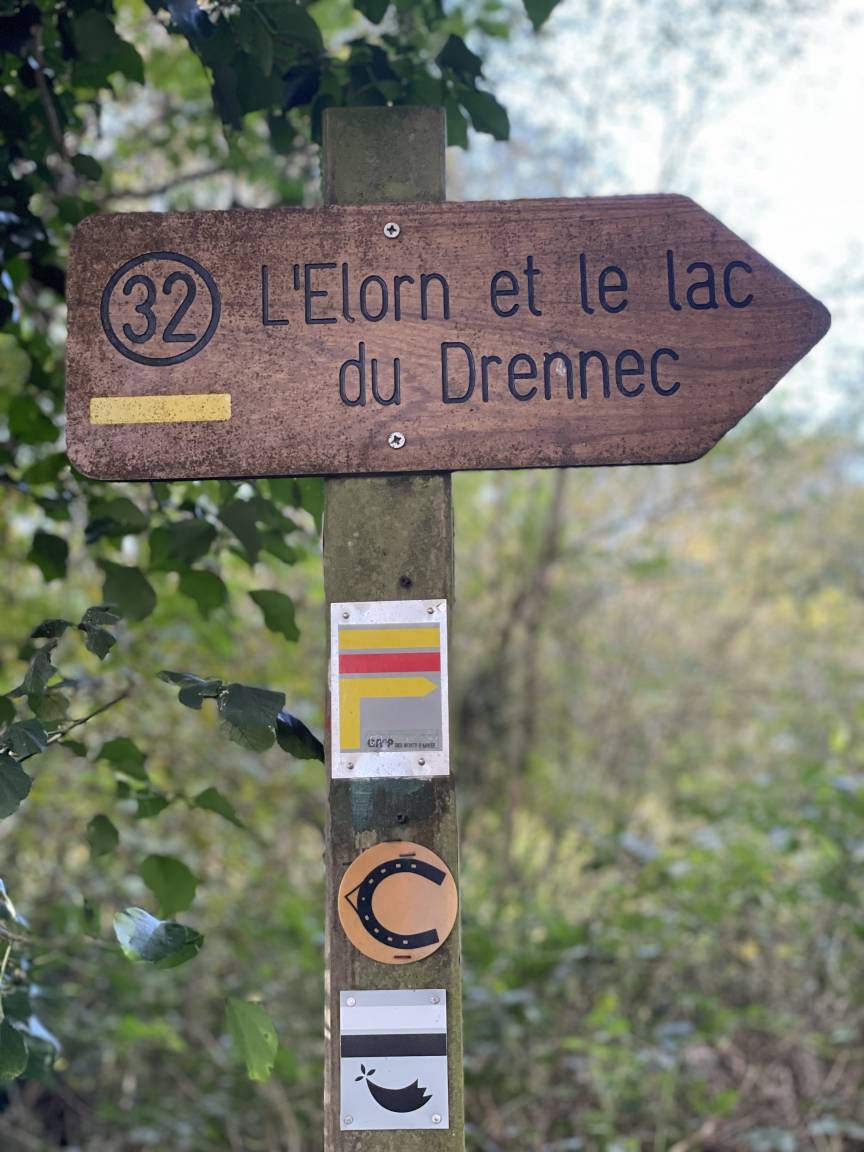 foto31