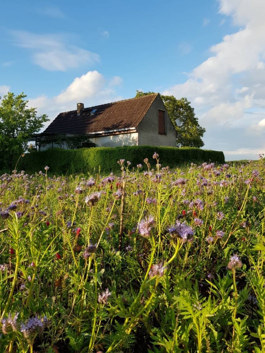 45 m² Ferienhaus ∙ 1 Schlafzimmer ∙ 2 Gäste – Bild 2