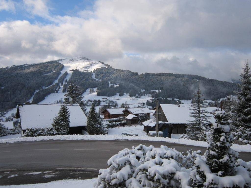 foto4