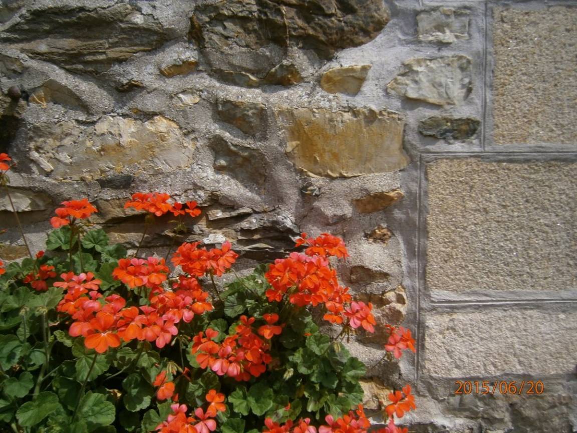 foto11