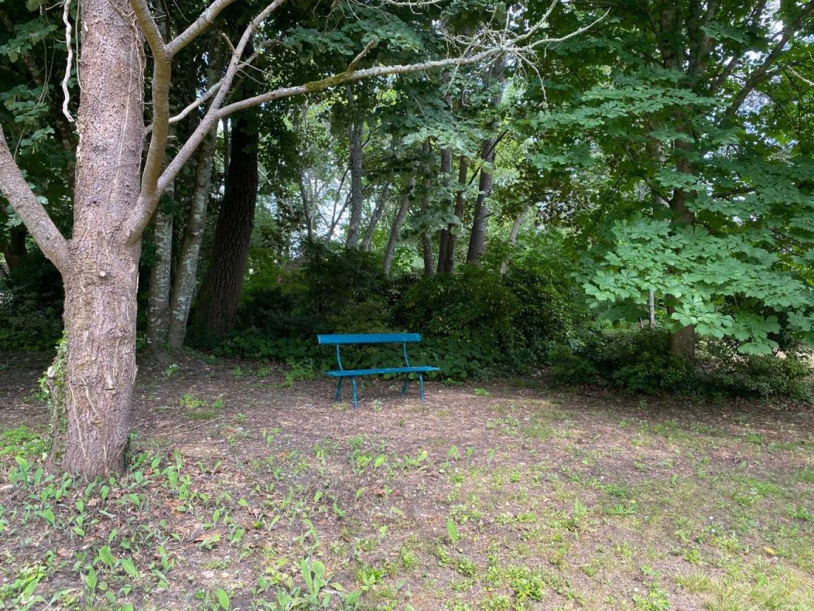 foto36