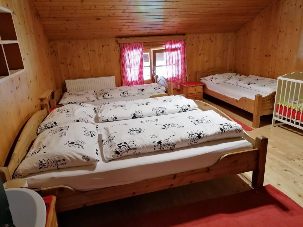 20 M² Hotel ∙ 1 Bedroom ∙ 4 Guests - Reith im Alpbachtal