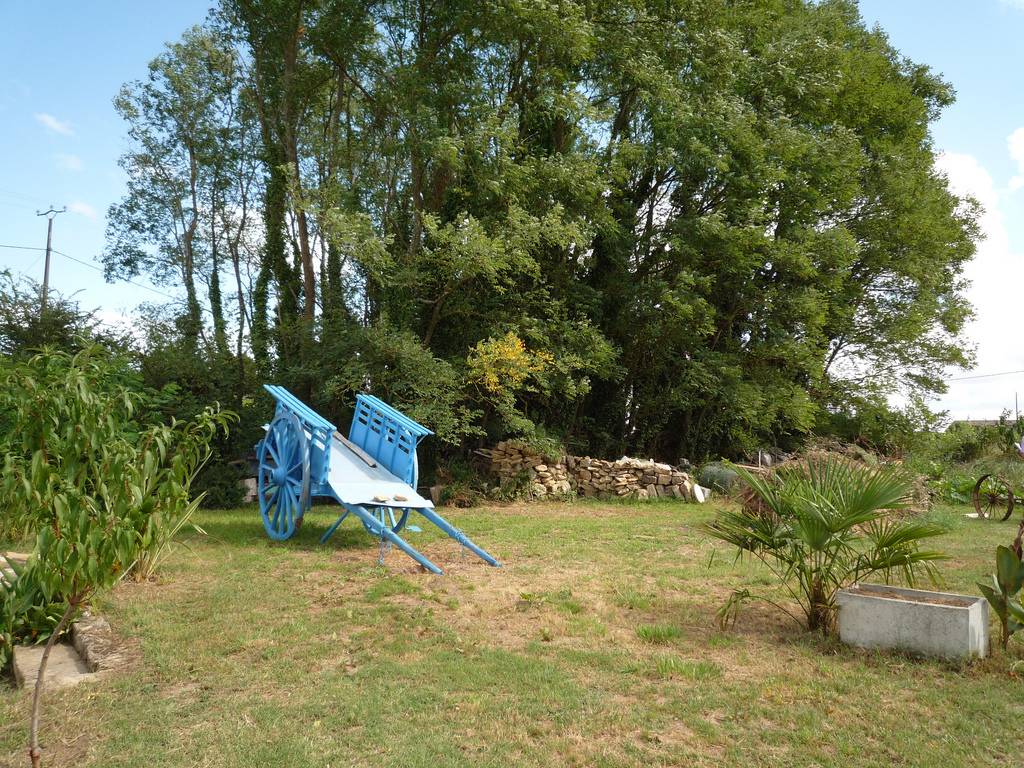 foto11