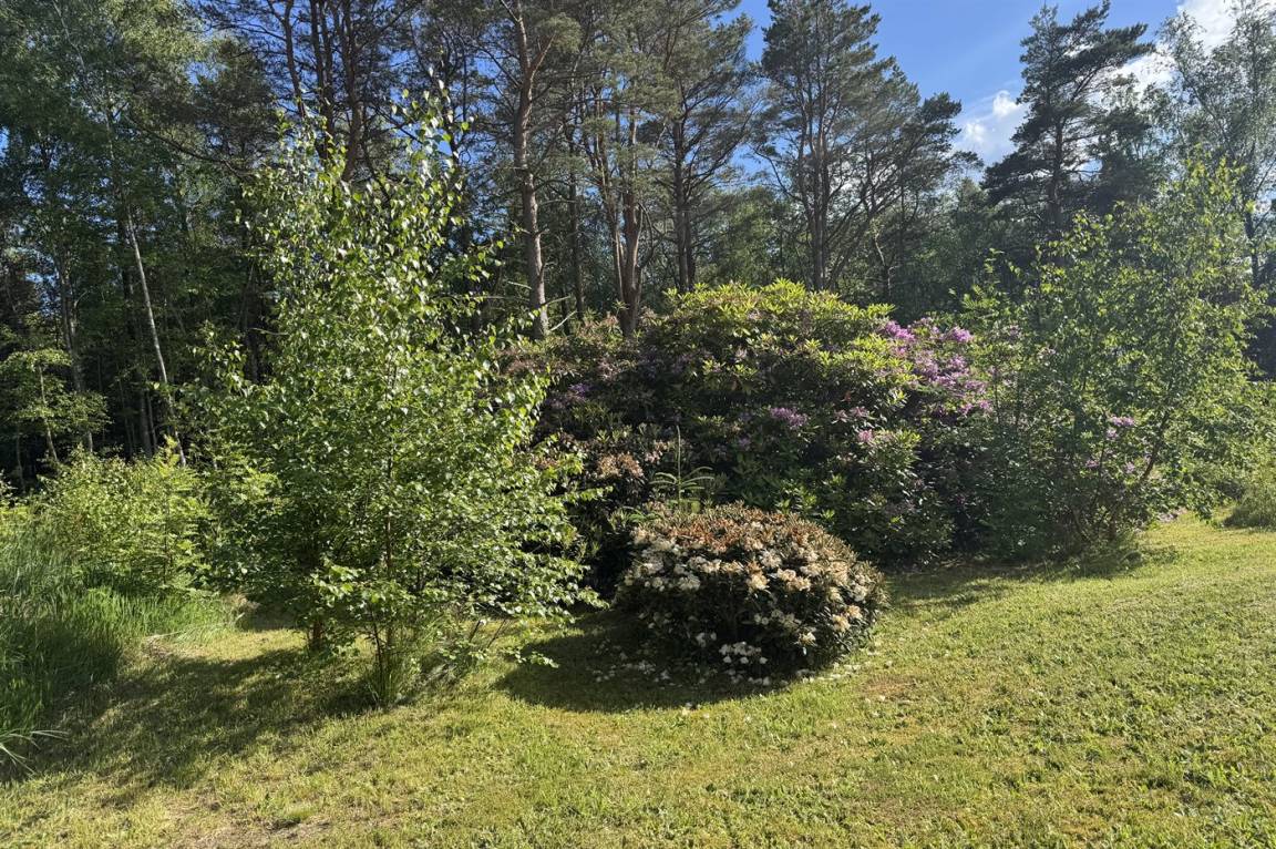 foto29