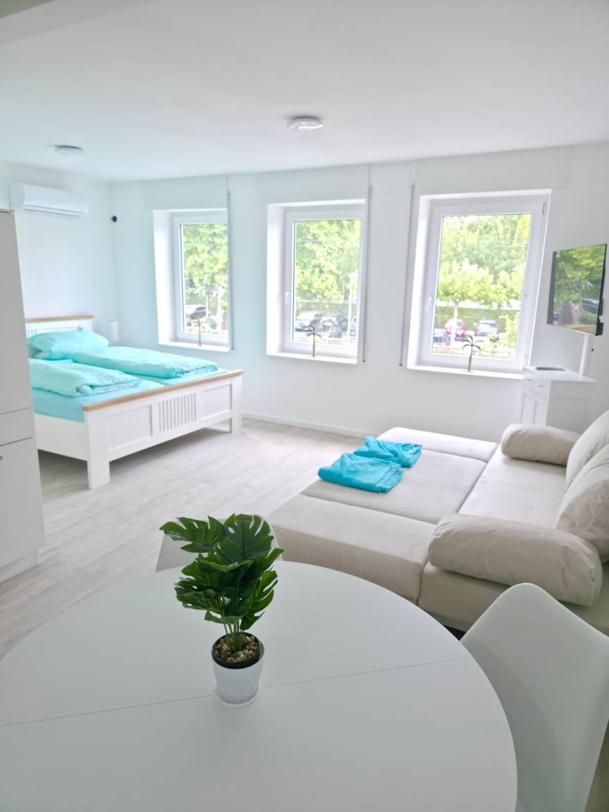 Apartment ∙ 1 Bedroom ∙ 4 Guests - Geisenheim