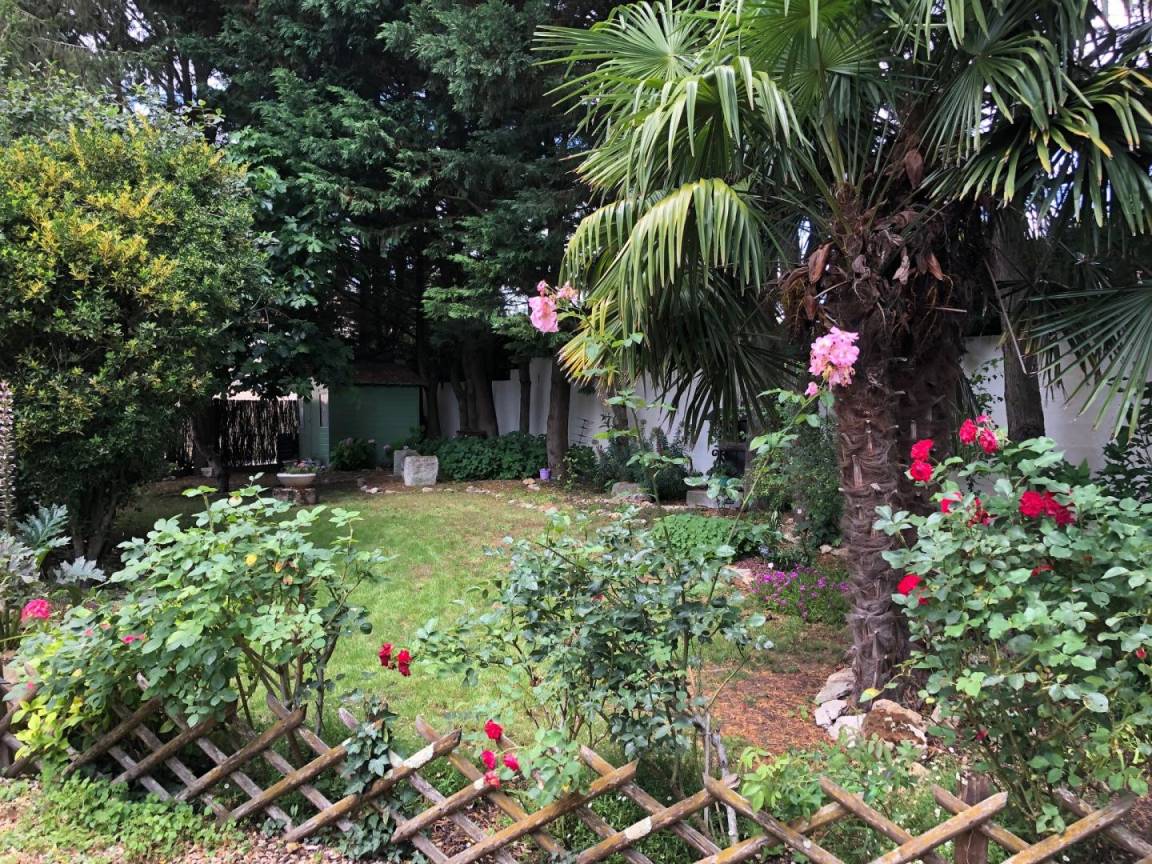 foto13