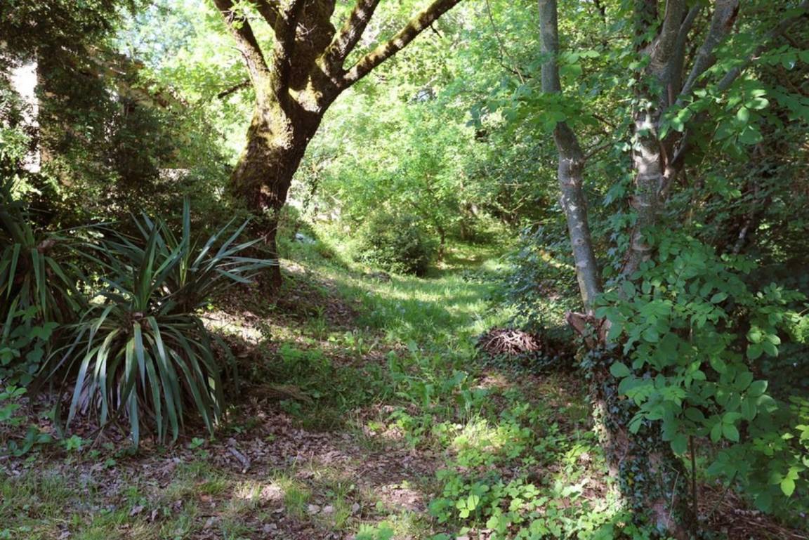 foto15