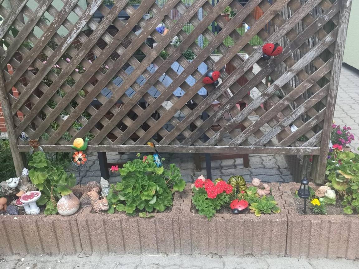 foto29
