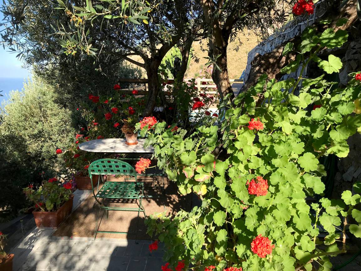 foto19