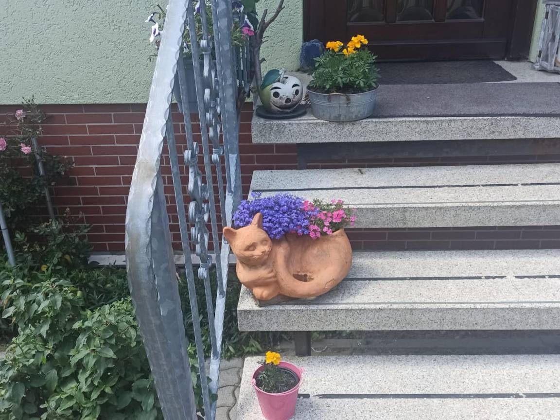 foto28