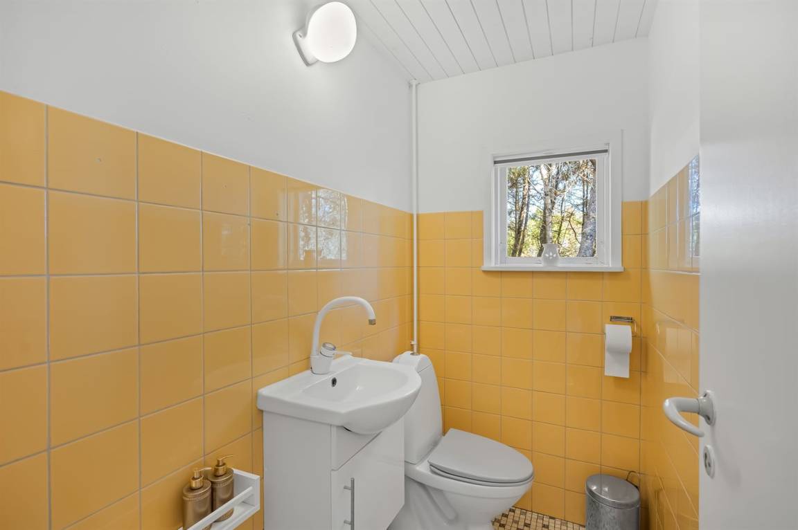 foto8