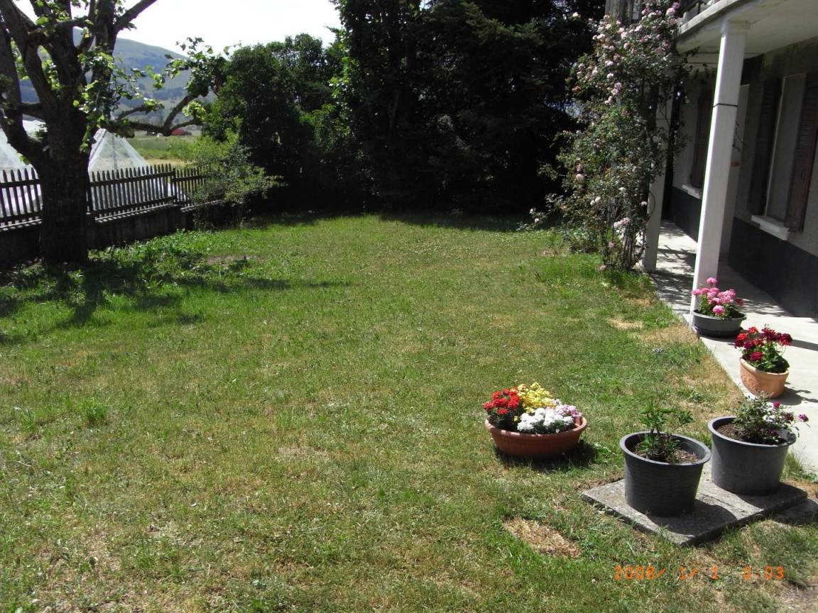 foto19