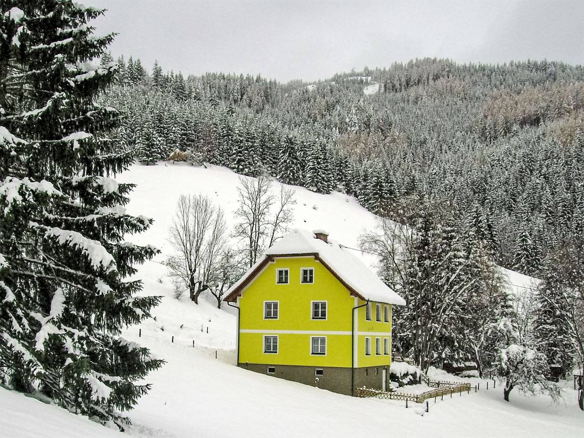 140 M² Ferienhaus ∙ 4 Schlafzimmer ∙ 10 Gäste - Teichalm