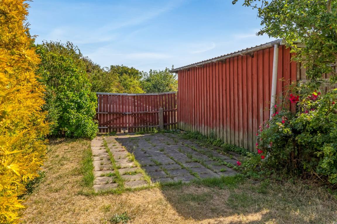 foto21