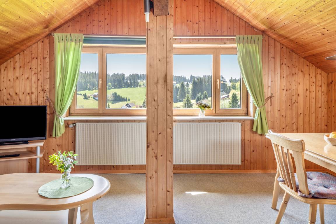 47 M² Apartment ∙ 1 Bedroom ∙ 3 Guests - Triberg