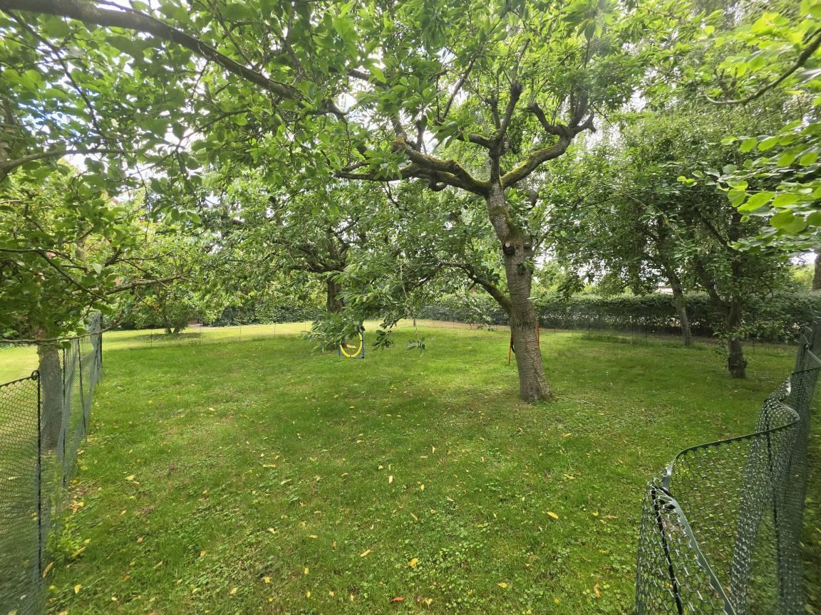 foto15