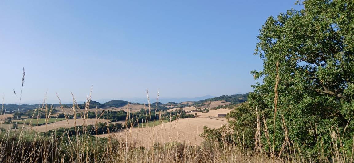 foto21