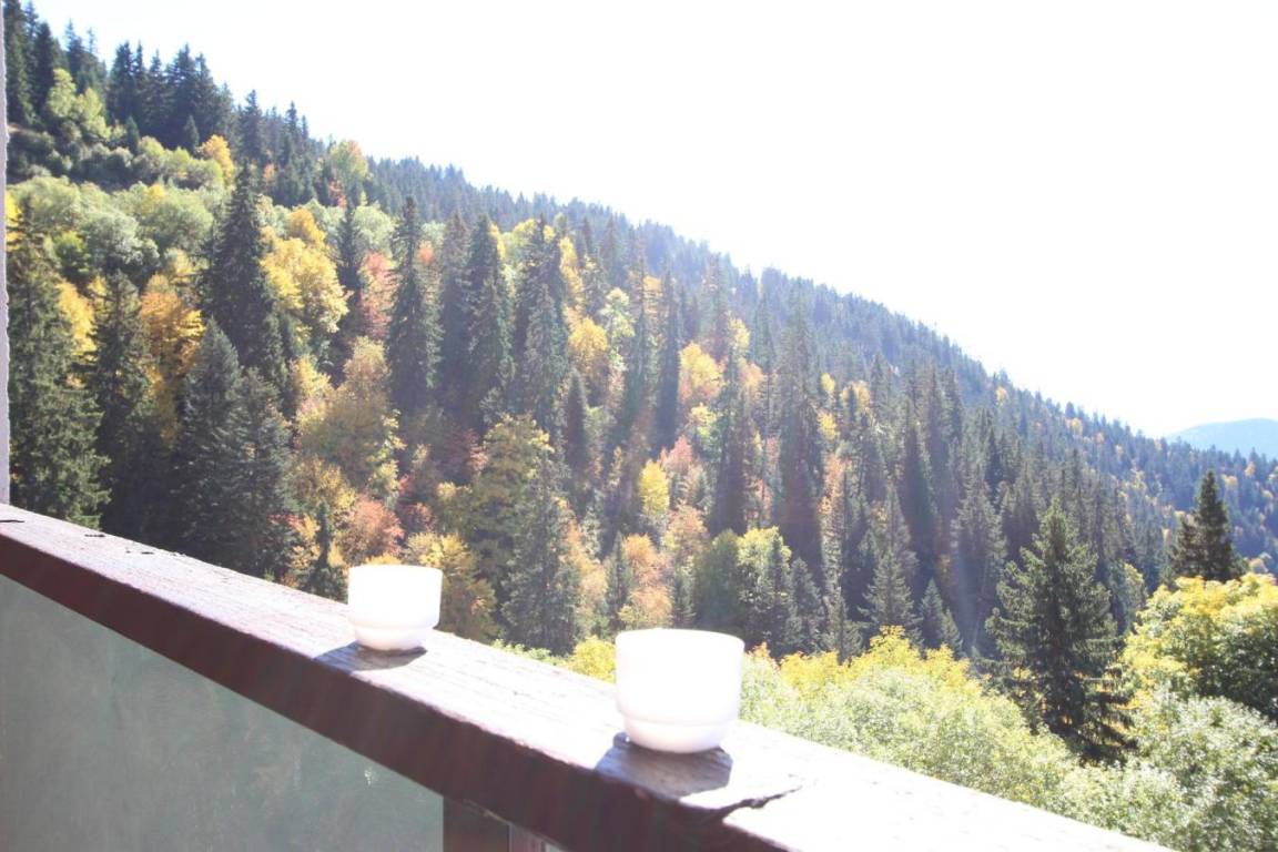 foto12