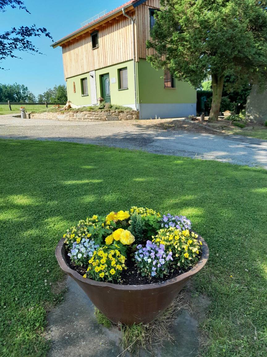 foto15