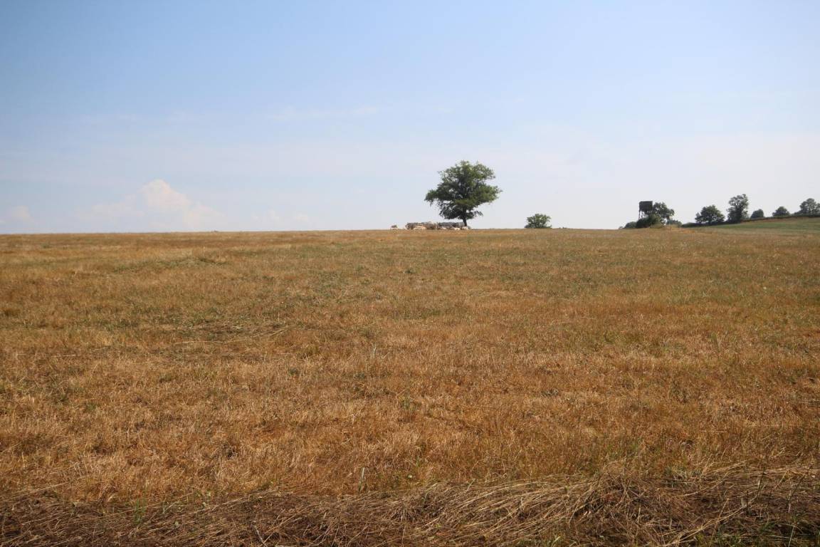 foto16