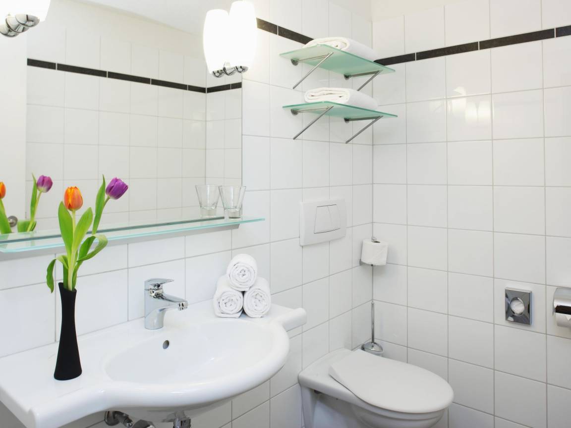 Appartement ∙ 1 Chambre ∙ 4 Personnes - Ringgenberg