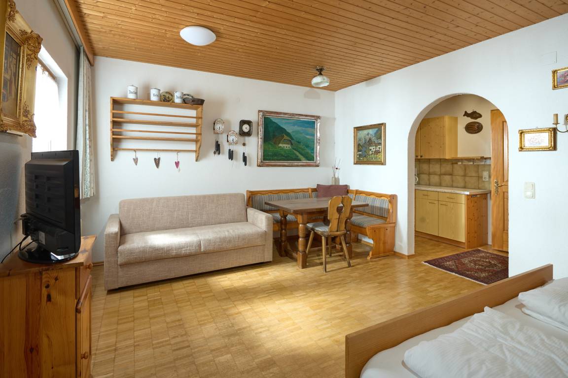 29 M² Studio ∙ 2 Gäste - Partenen