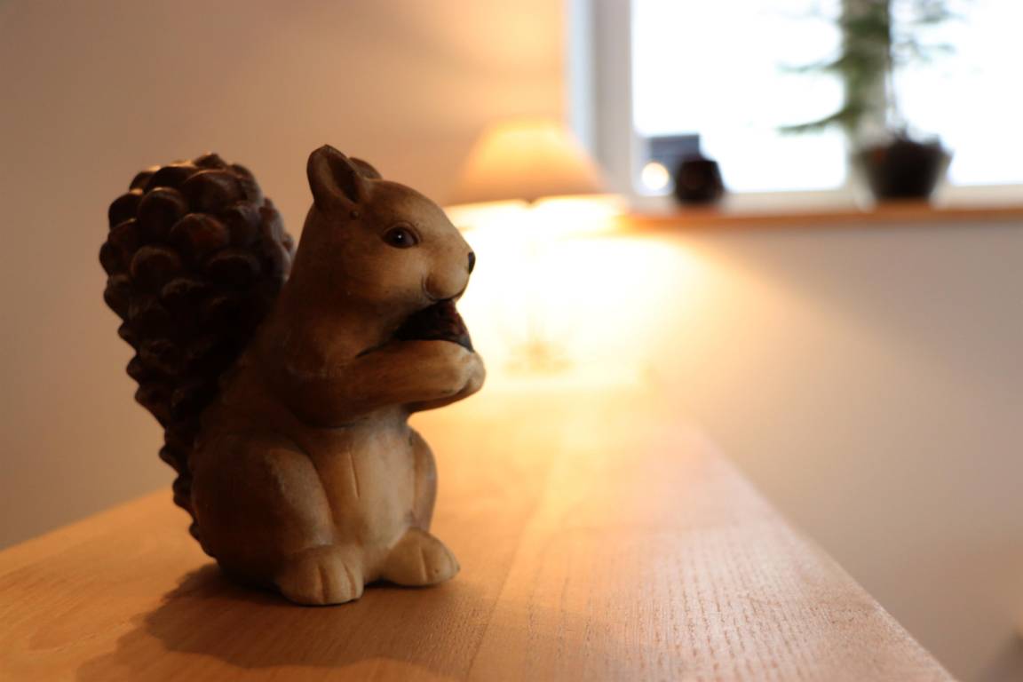 foto17