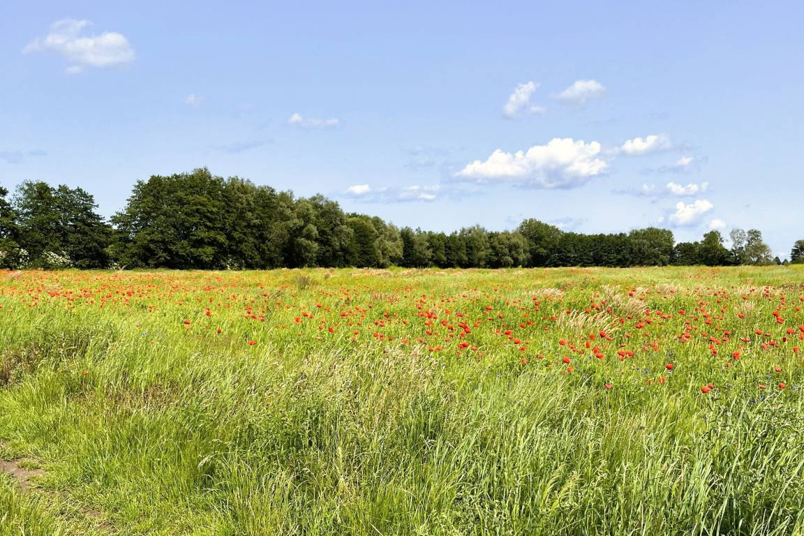 foto27