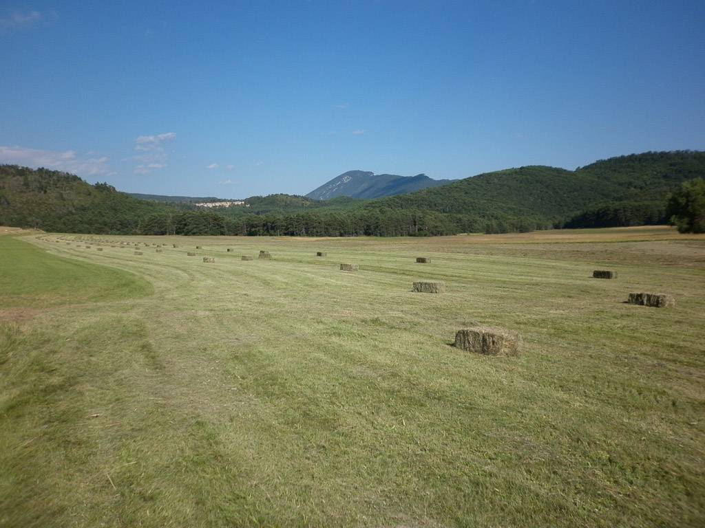 foto15