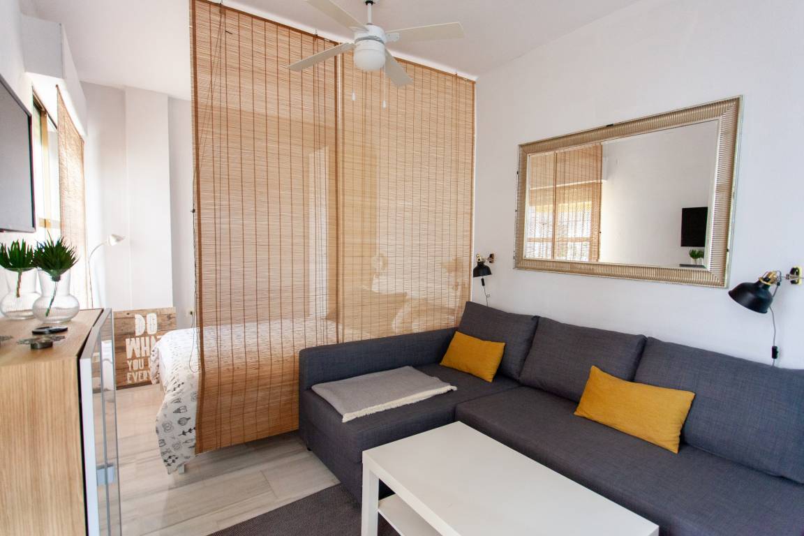 35 M² Studio Flat ∙ 1 Bedroom ∙ 3 Guests - セビーリャ
