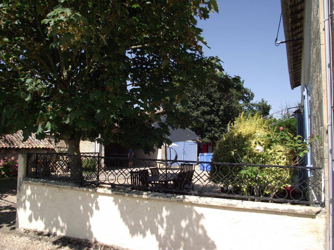 foto11