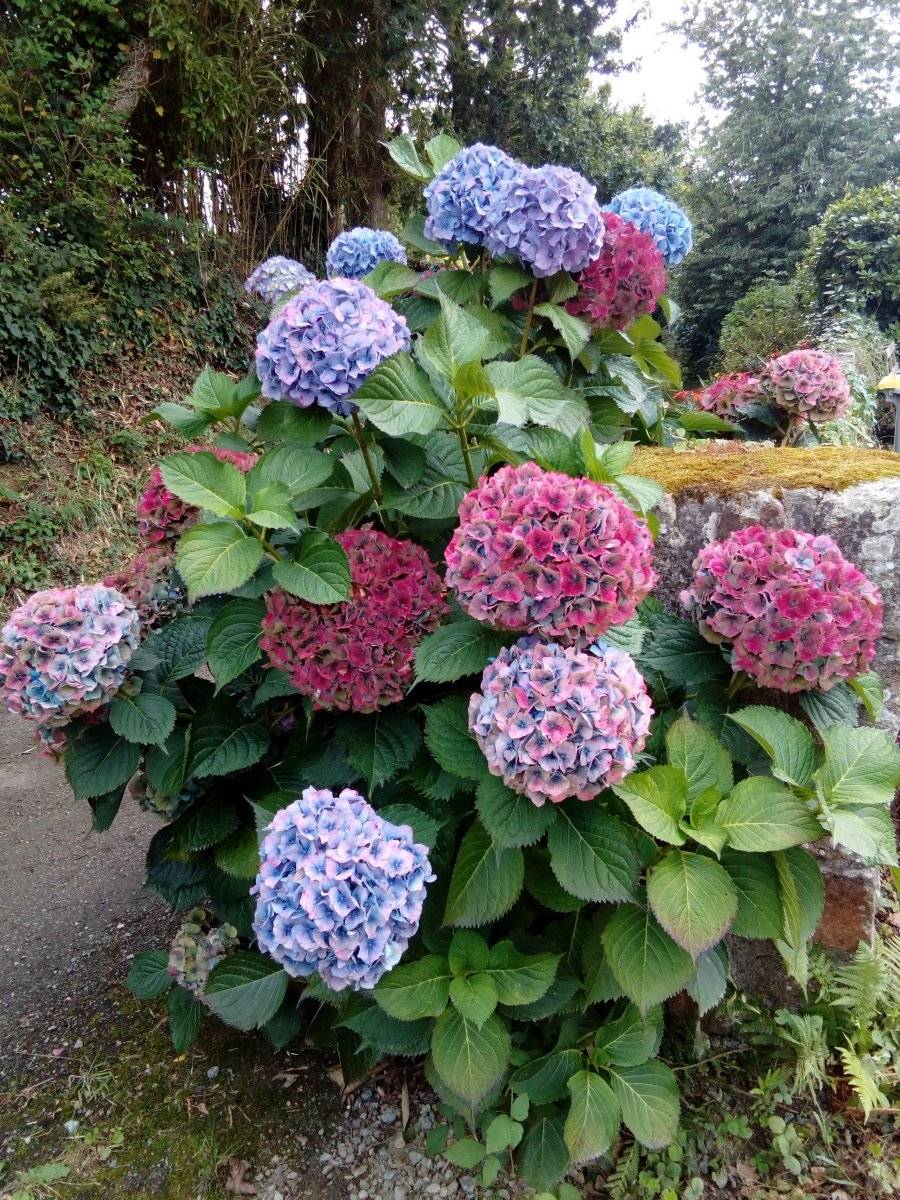 foto16