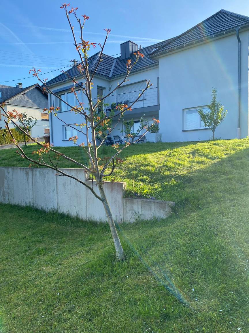 80 M² Apartment ∙ 2 Bedrooms ∙ 4 Guests - Morsbach