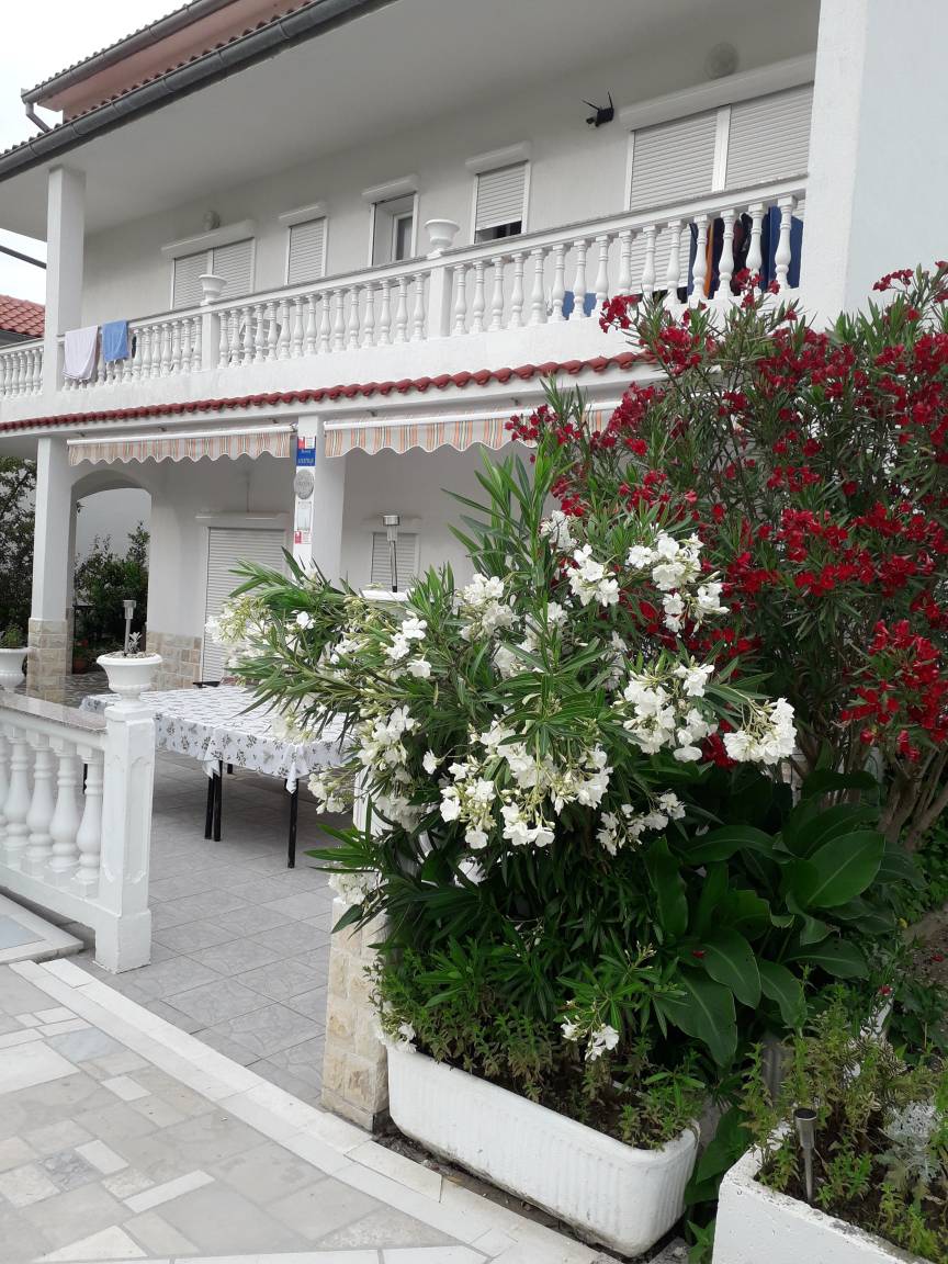 foto41