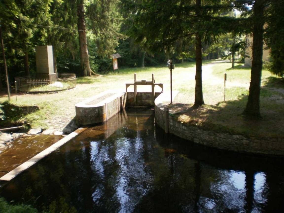 foto19