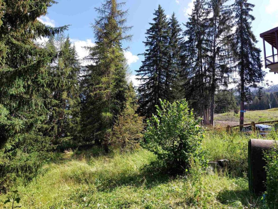 foto17
