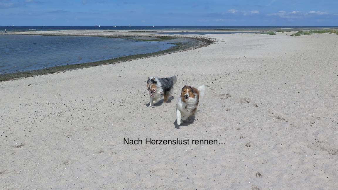 foto27
