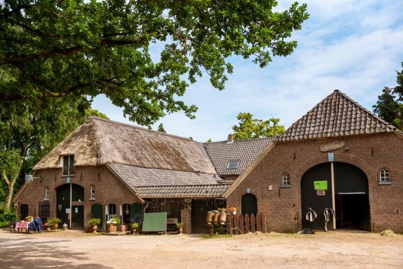 Tente ∙ 3 Chambres ∙ 6 Personnes - Zutphen