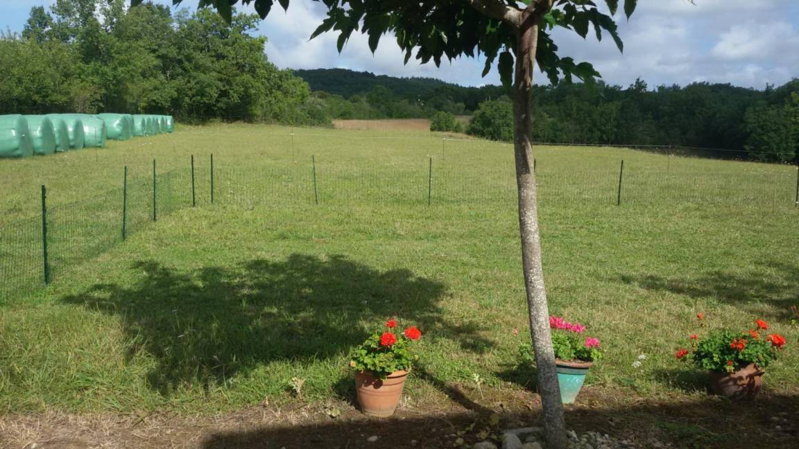 foto12