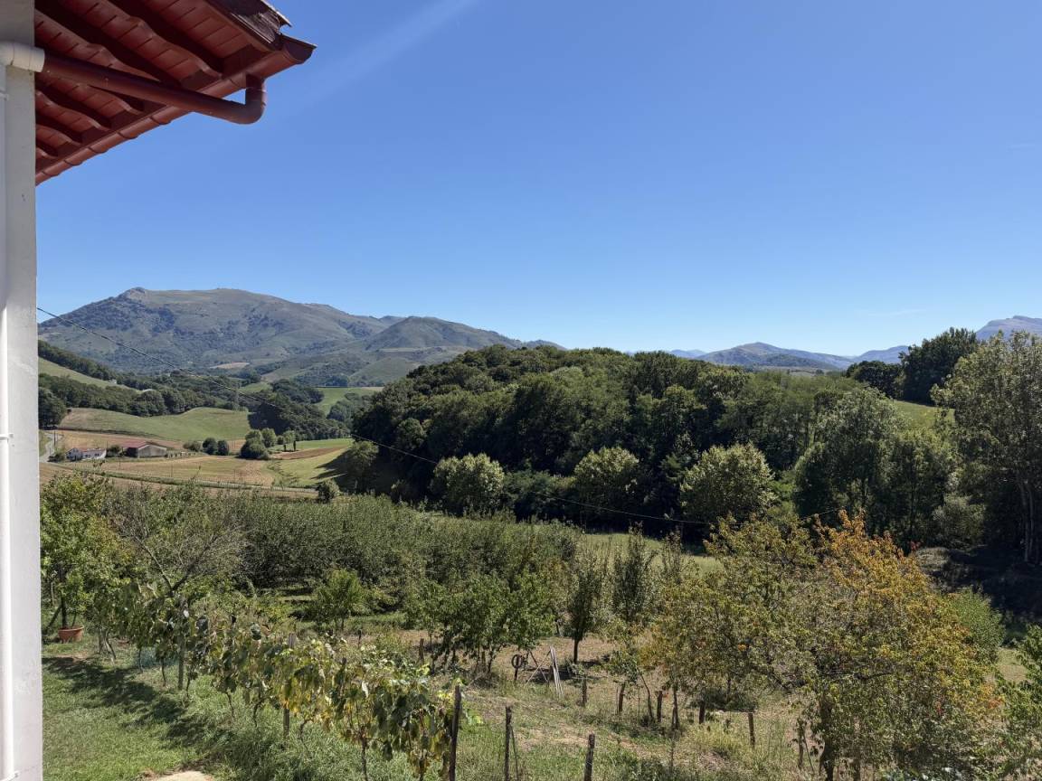 foto23