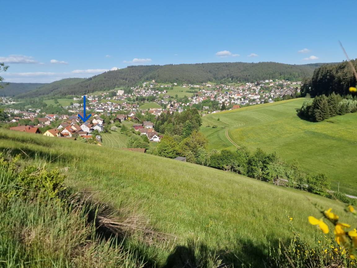 67 M² Appartement ∙ 1 Chambre ∙ 4 Personnes - Baiersbronn