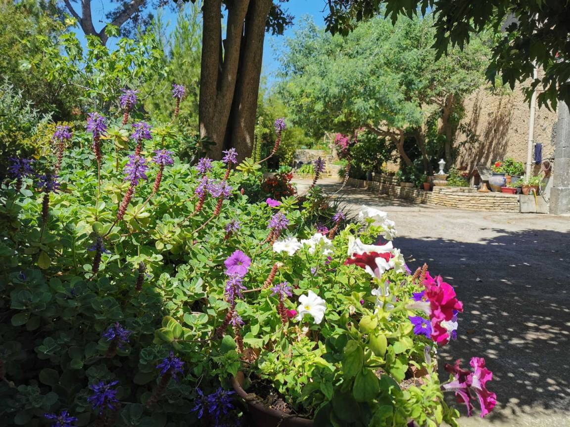 foto17