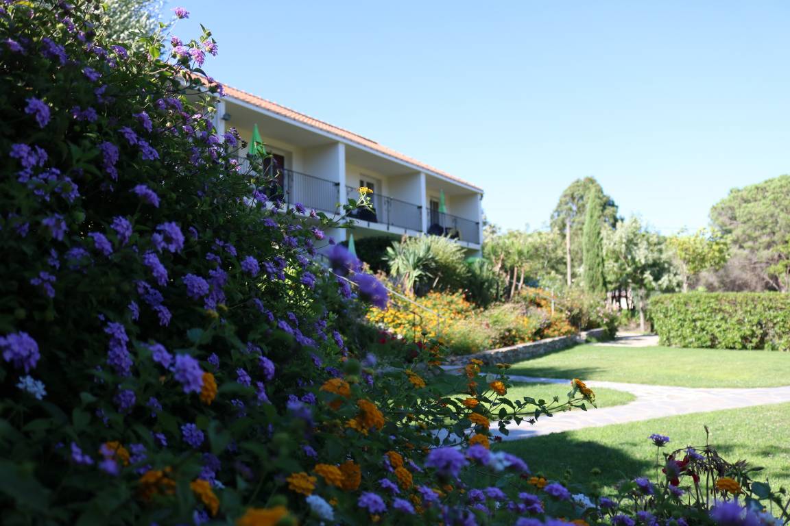 18 M² Aparthotel ∙ 1 Chambre ∙ 2 Personnes - Calvi