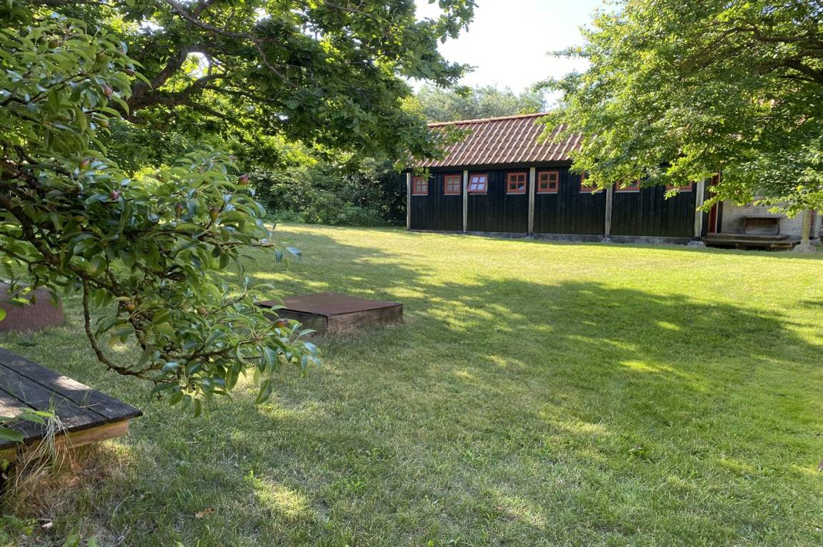 foto21