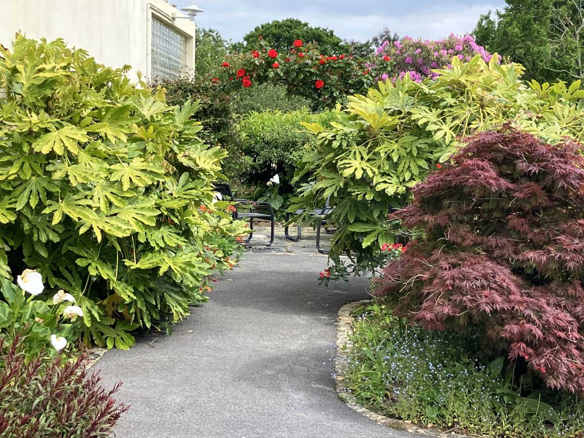 foto28